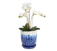 vensovo Vasi per orchidee da 14 cm, con fori e piattini, in ceramica, per interni ed esterni, design a flusso d'aria per radici più sane