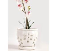 vensovo Vasi per orchidee in ceramica da 13 cm, con fori e piattini, 1 piccolo vaso per piante grasse per rinvaso, vasi da giardino per piante interne ed esterne, favorisce la circolazione dell'aria,