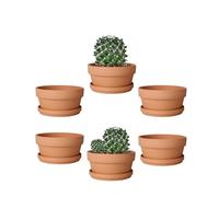Vensovo - Vaso per Piante Grasse in Terracotta da 5,7 cm, 6 Pezzi, con Piattino e Foro di Drenaggio