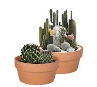 Vensovo - Vaso per succulente in terracotta, 20 cm, 2 vasi grandi in terracotta con drenaggio, Cacuts Terra-Cotta per interni ed esterni, con foro di drenaggio
