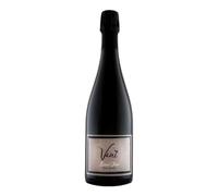 Vent Extra Brut Trento DOC Cantina Toblino