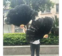 Ventagli di piume di struzzo rosa chiaro da 130 cm e 100 cm, per spettacoli di danza, feste di Halloween, matrimoni, palcoscenico, ventaglio portatile, 100 pezzi, colore: nero