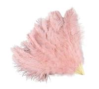 Ventaglio Di Piume Da Danza 13 Bone Lake blu piume Fan for fai da te danza spettacolo festa di Halloween matrimonio palcoscenico puntelli portatile soffice per Mostrare(Beige,Smal Big Fan 2pcs)