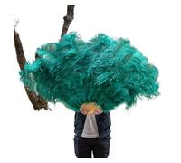 Ventaglio pieghevole di piume, 13 Ventaglio di piume di struzzo in osso for feste di carnevale, matrimoni, spettacoli di danza del ventre, decorazioni fai da te, ventaglio di piume verde menta(Green)