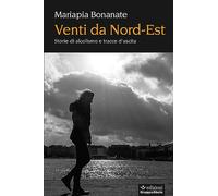 Venti da Nord-Est. Storie di alcolismo e tracce d'uscita