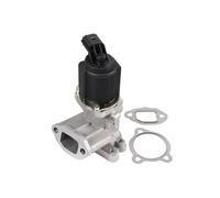 Ventil Elettrico AGR Con Dichtungen METZGER Per u.a. FIAT PANDA