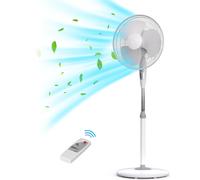 DCG VENTILATORE PIANTANA CON TELECOMANDO E TIMER VE1620TT [EEK: F]