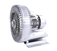 Ventilatore a vortice ad alta pressione da 1,1 kW for l'aerazione di laghetti ittici e uso industriale - Soffiatore potente, durevole ed efficiente(AC380V)