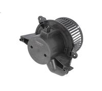 Ventilatore abitacolo THERMOTEC DDF007TT per FIAT PUNTO (188_) 1.4 2005-2012