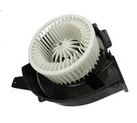 Ventilatore abitacolo THERMOTEC DDS002TT per AUDI A2 (8Z0) 1.2 2001-2005