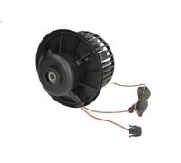Ventilatore abitacolo THERMOTEC DDW002TT per VW VENTO (1H2) 1.6 1994-1998