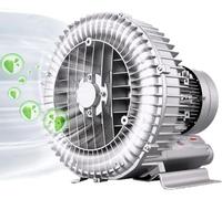 Ventilatore ad anello ad alta pressione a vortice 120W-1500W, pompa centrifuga monofase per aerazione acque reflue e stagni di pesce