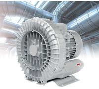 Ventilatore ad anello industriale a vortice per la ventilazione di stagni di pesce e fabbrica, 220V/380V Ventilatore a canale laterale, Pompa a vuoto da 1,1 KW per la rimozione della polvere e la