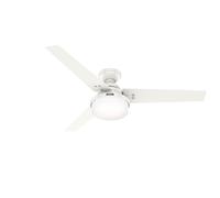 Ventilatore con Illuminazione Sentinel 132cm Hunter Interruttore Muro [EEK: Inaditato]