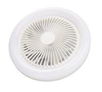 Ventilatore da Soffitto 36W, Ventilatore da Soffitto con Luce e Telecomando, Lampada da Soffitto a LED Piccola Silenziosa da 9,8 Pollici Ventilatore da Soffitto Moderno a Basso