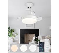 Ventilatore Da Soffitto Con Luce E Telecomando Silenzioso, Lampadario Con Ventola Con Pale A Scomparsa, Led Dimmerabile, Motore DC Reversibile, Funzione Di Memoria, Per Camera Da Letto Soggiorno