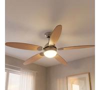 Ventilatore da Soffitto Globo Deckenleuchte Lüfter A Pale Wendbar 132 cm [EEK: Non valutato]