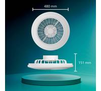 Amigo Fan Light Flat LED 20W+40W, Remote Control, Coloured Light - white