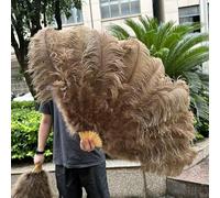 Ventilatore di piume di struzzo, ventaglio pieghevole in piume di struzzo, 13 ossa, rosa chiaro, multicolore, 100 - 130 cm, set da 1 o 2, per festa danzante, matrimonio (30 profondo, 100 cm 1 mano