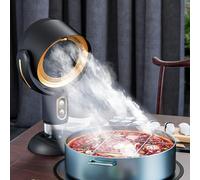 Ventilatore estrattore portatile (purificatore di fumo), USB ricaricabile, purificatore d'aria, filtro amovibile lavabile, per BBQ/hot pot interno(Gold)