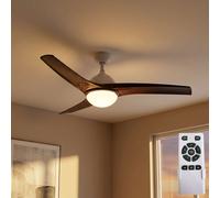 Ventilatore Lampada Soffitto Ventola Raffreddamento Telecomando Cct Timer LED D