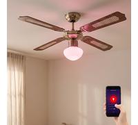Ventilatore Plafoniera Lampada Controllo Vocale Smart Home Regolabile LED RGB