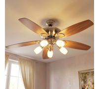 Ventilatore Plafoniera Raffreddamento Lampada Sala da Pranzo Interruttore LED D