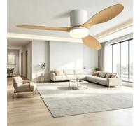 Ventilatore Soffitto Minimalista Con/Senza Luce LED,Silenzioso Tutto L'anno
