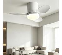 Ventilatore Soffitto Minimalista Con/Senza Luce LED,Silenzioso Tutto L'anno