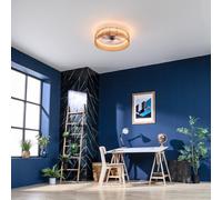 Ventilatori da soffitto con luce EnergySilence LampAero 600 Natural Design