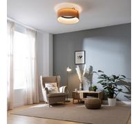 Cecotec Ventilatore da Soffitto con Luce EnergySilence LampAero 650 Beige Design. Paralume in Vimini, 20 W, Lampada Inclusa, Telecomando, Timer Fino a 8 Ore, 3 Velocità, 5 Pale, Estate/Inverno