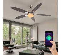Ventilatorlampe Ventilatore da Soffitto Ventola Soggiorno Smart LED Google RGB [EEK: F]