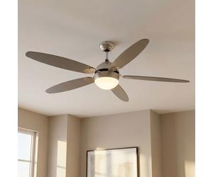 Ventilatorleuchte Lampada Soffitto Ventilatore da Passare LED Flusso di Ritorno