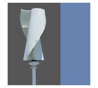 Ventola a 2 pale 5000 W 3000 12 V 24 48 controller MPPT piccola turbina eolica per uso domestico a basso rumore ad alta efficienza (Wind turbine only,24 V, 5000 W)