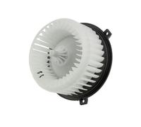 NTY Ventilatore abitacolo EWN-PL-004 compatibile con Opel e Chevrolet