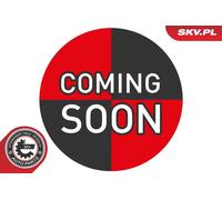 Ventola abitacolo 68SKV198 ESEN SKV per FORD ECOSPORT B-MAX B-MAX Van KA+ III