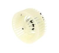 THERMOTEC Ventilatore abitacolo