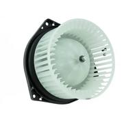 NTY Ventilatore abitacolo EWN-DW-001 per Daewoo, Chevrolet
