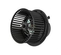 NTY Ventilatore abitacolo compatibile con FORD VAG EWN-VW-013