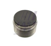 FAST FT45646 Puleggia cinghia, Alternatore per FORD