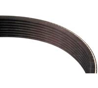 Ventola Cinghia (5PK X 1560) Per Custodia IH Maxxum MXU 100 110 115 120 130 135