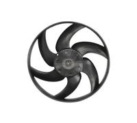 Thermotec Ventola radiatore D8C004TT per Peugeot/Citroën 406 (1995-2004)