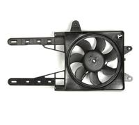 Ventola radiatore D8F008TT THERMOTEC per FIAT PUNTO