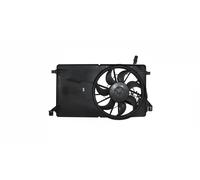 Magneti Marelli Ventola Raffreddamento Motore 069422741010 per Ford C-Max, Focus