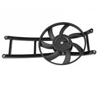 Ventola radiatore Ventola singola FT56164 FAST per FIAT PANDA PUNTO