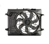 Ventola, raffreddamento motore THERMOTEC D80301TT per CEE'D SW (ED) 1.4 2009-201