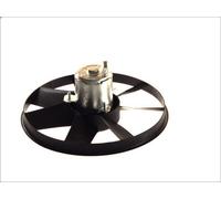 Ventola, raffreddamento motore THERMOTEC D8W014TT per VENTO (1H2) 2 1991-1998