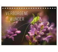 Verborgene Wunder (Tischkalender 2026 DIN A5 quer), CALVENDO Monatskalender: Ein faszinierende anderer Blick auf die Natur!