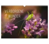 Verborgene Wunder (Wandkalender 2026 DIN A3 quer), CALVENDO Monatskalender: Ein faszinierende anderer Blick auf die Natur!