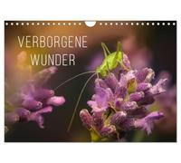 Verborgene Wunder (Wandkalender 2026 DIN A4 quer), CALVENDO Monatskalender: Ein faszinierende anderer Blick auf die Natur!